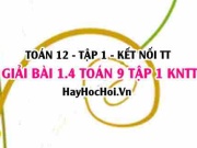 Bài 1.4 Toán 12 tập 1 SGK Kết nối tri thức